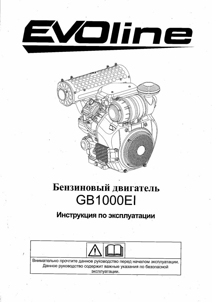 Схема двигателя EVOline GB1000EI из инструкции
